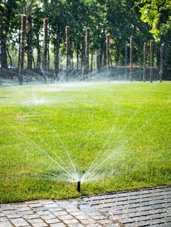 Arrosage automatique pelouse