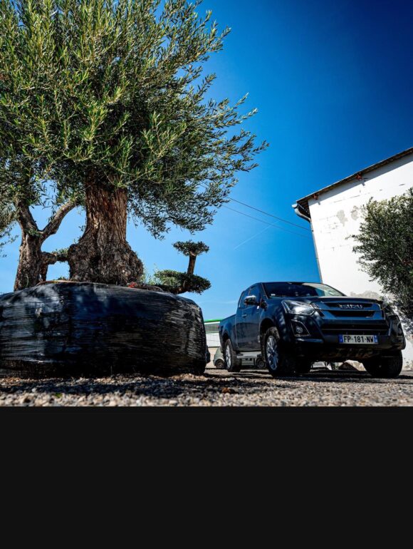 voiture
